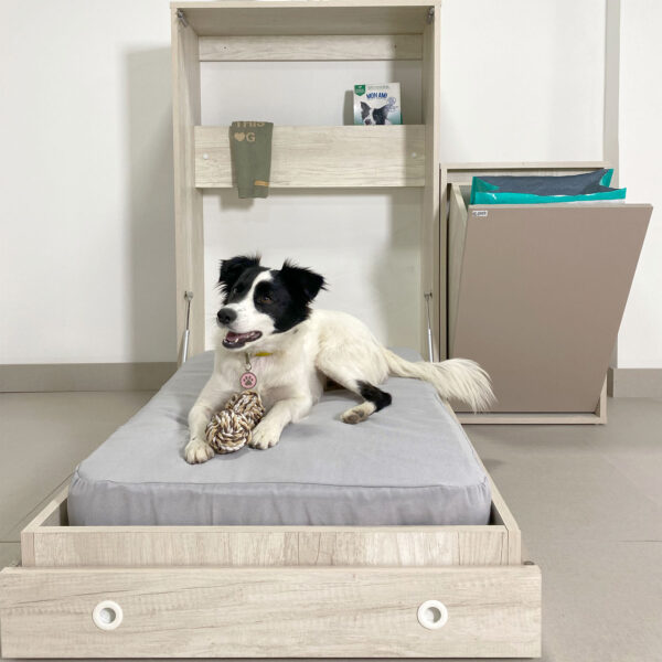 CAMA REBATIBLE PARA MASCOTAS - Imagen 8