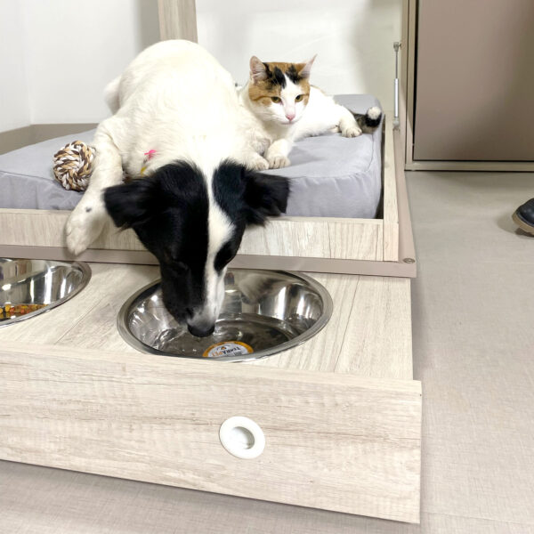 CAMA REBATIBLE PARA MASCOTAS - Imagen 9
