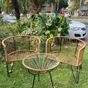 JUEGO 2 SILLONES GERVASONI + RATONA