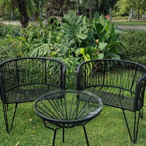 JUEGO 2 SILLONES GERVASONI + RATONA