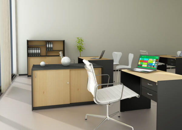 MUEBLES DE OFICINA LINEA CLASIC (ESCRITORIOS,BIBLIOTECAS,MESAS DIRECTORIO) - Imagen 2