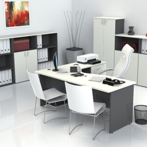 MUEBLES DE OFICINA LINEA MILENIUM