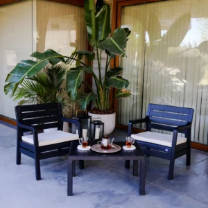 SET DE SILLONES EXTERIOR PARIS